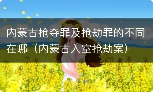 内蒙古抢夺罪及抢劫罪的不同在哪（内蒙古入室抢劫案）