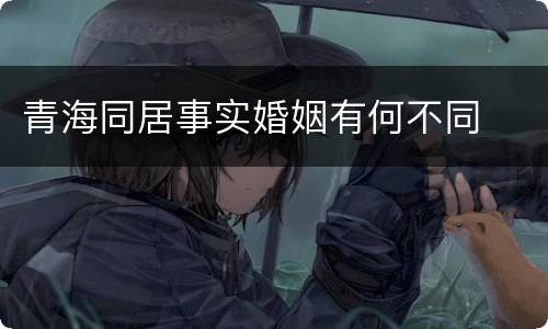 青海同居事实婚姻有何不同