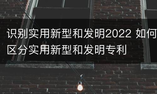 识别实用新型和发明2022 如何区分实用新型和发明专利