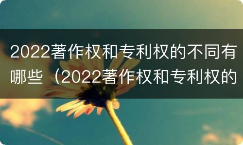 2022著作权和专利权的不同有哪些（2022著作权和专利权的不同有哪些原因）