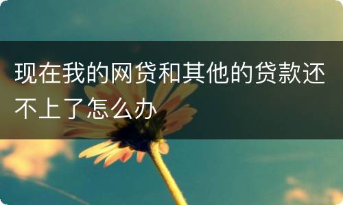 现在我的网贷和其他的贷款还不上了怎么办