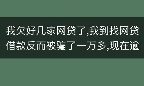 我欠好几家网贷了,我到找网贷借款反而被骗了一万多,现在逾期了好几家了,我给怎么办