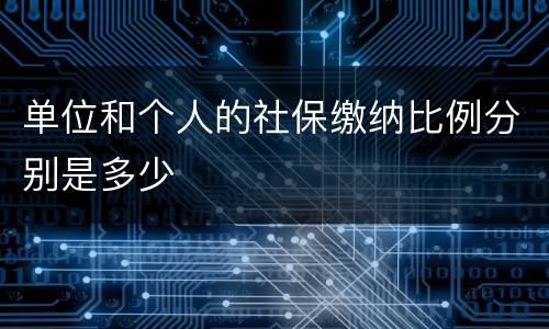 单位和个人的社保缴纳比例分别是多少