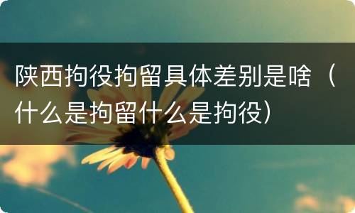 陕西拘役拘留具体差别是啥（什么是拘留什么是拘役）