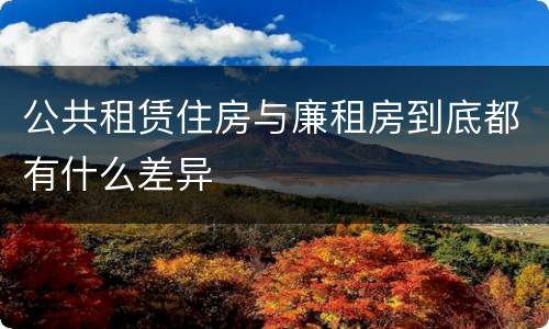 公共租赁住房与廉租房到底都有什么差异