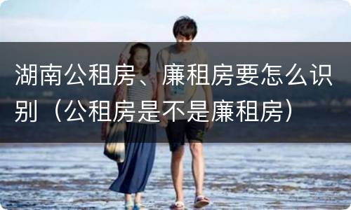 湖南公租房、廉租房要怎么识别（公租房是不是廉租房）