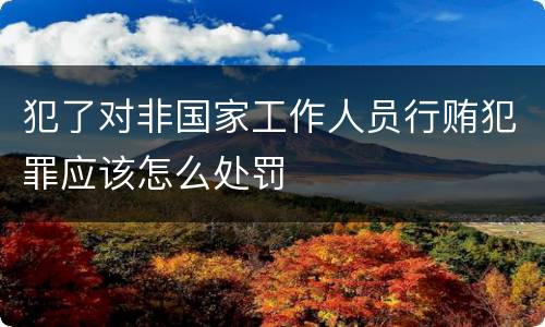 犯了对非国家工作人员行贿犯罪应该怎么处罚