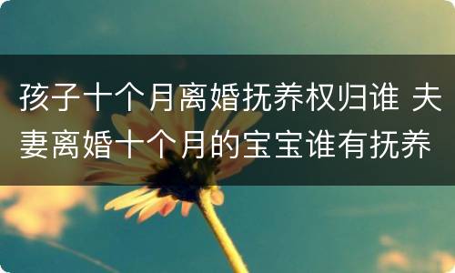 孩子十个月离婚抚养权归谁 夫妻离婚十个月的宝宝谁有抚养权