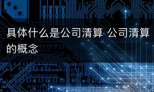 具体什么是公司清算 公司清算的概念