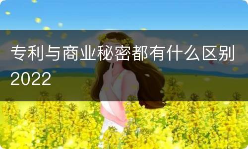 专利与商业秘密都有什么区别2022