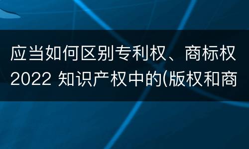 应当如何区别专利权、商标权2022 知识产权中的(版权和商标权与标准
