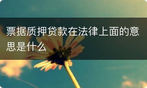 票据质押贷款在法律上面的意思是什么