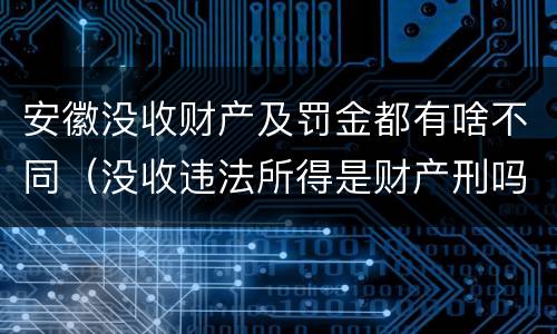 安徽没收财产及罚金都有啥不同（没收违法所得是财产刑吗）