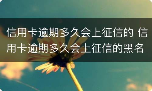 信用卡逾期多久会上征信的 信用卡逾期多久会上征信的黑名单