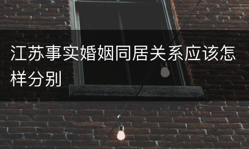 江苏事实婚姻同居关系应该怎样分别