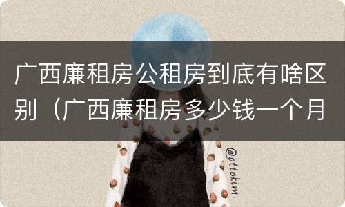 广西廉租房公租房到底有啥区别（广西廉租房多少钱一个月）