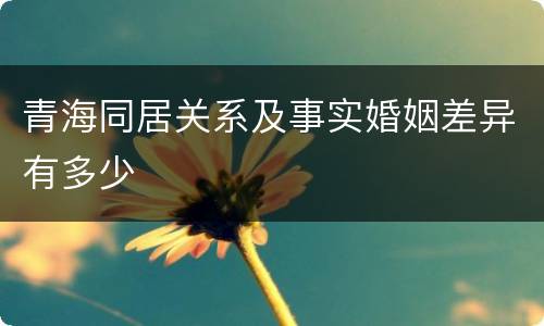 青海同居关系及事实婚姻差异有多少