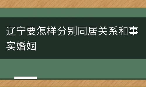 辽宁要怎样分别同居关系和事实婚姻