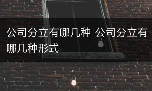 公司分立有哪几种 公司分立有哪几种形式
