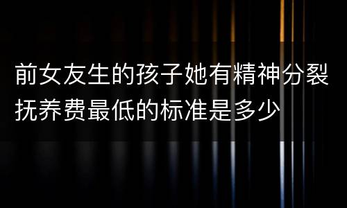 前女友生的孩子她有精神分裂抚养费最低的标准是多少
