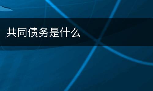 共同债务是什么