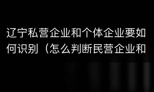 辽宁私营企业和个体企业要如何识别（怎么判断民营企业和私营企业）