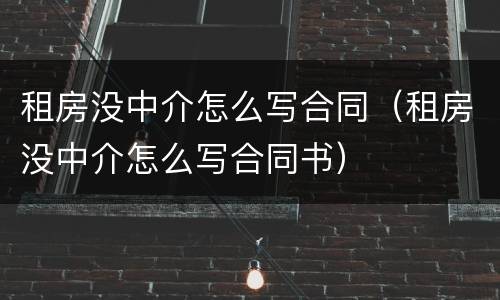 租房没中介怎么写合同（租房没中介怎么写合同书）
