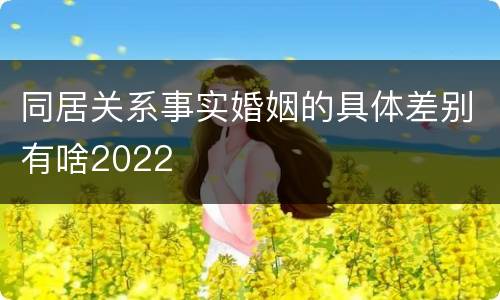 同居关系事实婚姻的具体差别有啥2022