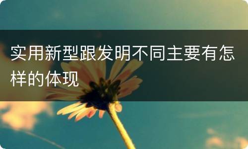 实用新型跟发明不同主要有怎样的体现