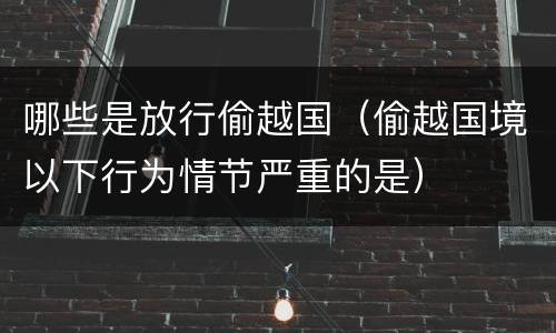 哪些是放行偷越国（偷越国境以下行为情节严重的是）