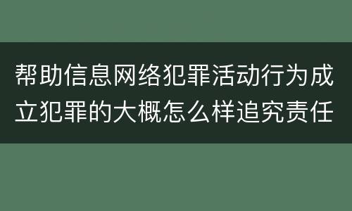 帮助信息网络犯罪活动行为成立犯罪的大概怎么样追究责任