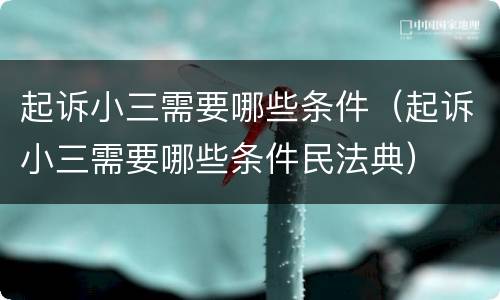 起诉小三需要哪些条件（起诉小三需要哪些条件民法典）