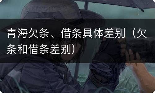 青海欠条、借条具体差别（欠条和借条差别）