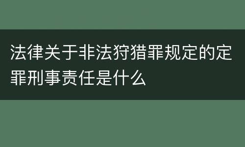 法律关于非法狩猎罪规定的定罪刑事责任是什么