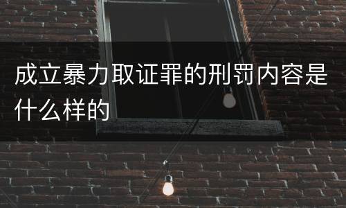 成立暴力取证罪的刑罚内容是什么样的