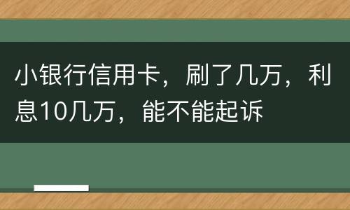 小银行信用卡，刷了几万，利息10几万，能不能起诉