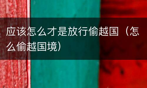 应该怎么才是放行偷越国（怎么偷越国境）