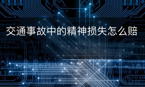交通事故中的精神损失怎么赔