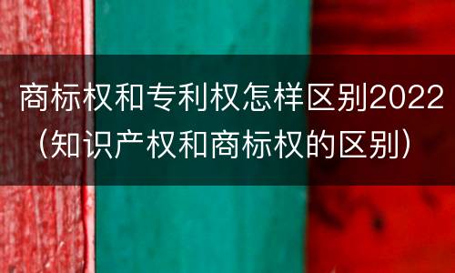 商标权和专利权怎样区别2022（知识产权和商标权的区别）