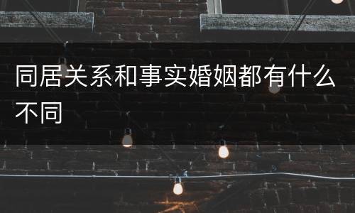 同居关系和事实婚姻都有什么不同