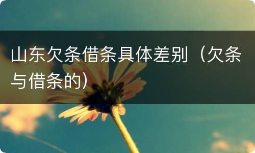 山东欠条借条具体差别（欠条与借条的）