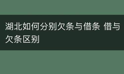 湖北如何分别欠条与借条 借与欠条区别