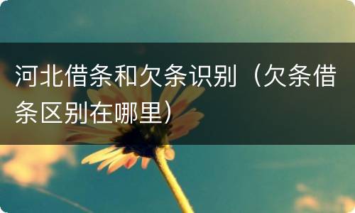 河北借条和欠条识别（欠条借条区别在哪里）