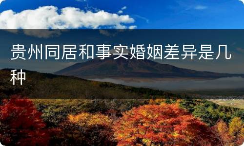 贵州同居和事实婚姻差异是几种