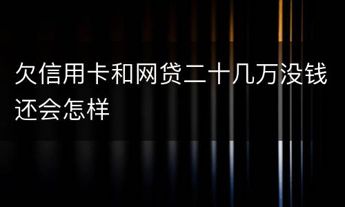 欠信用卡和网贷二十几万没钱还会怎样