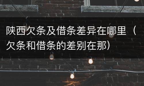 陕西欠条及借条差异在哪里（欠条和借条的差别在那）
