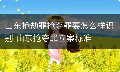 山东抢劫罪抢夺罪要怎么样识别 山东抢夺罪立案标准
