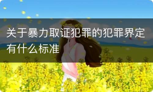 关于暴力取证犯罪的犯罪界定有什么标准
