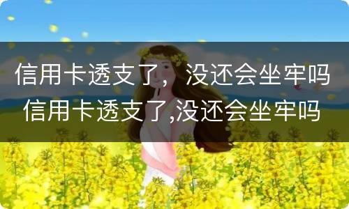 信用卡透支了，没还会坐牢吗 信用卡透支了,没还会坐牢吗知乎