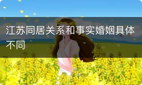 江苏同居关系和事实婚姻具体不同